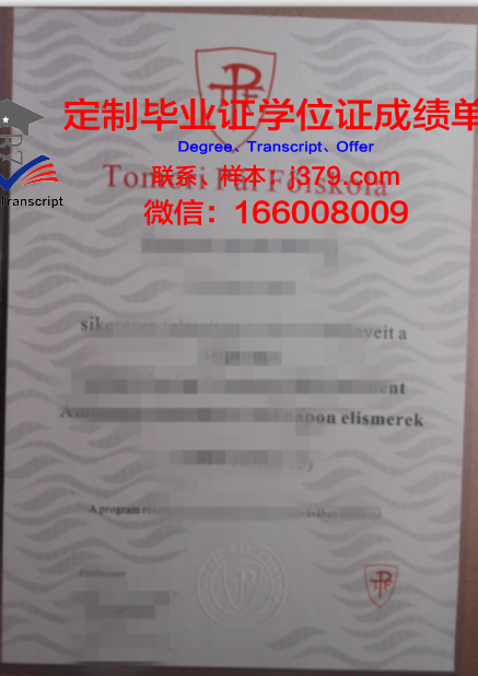 玛尼帕尔国际大学毕业证学位文凭学历Diploma