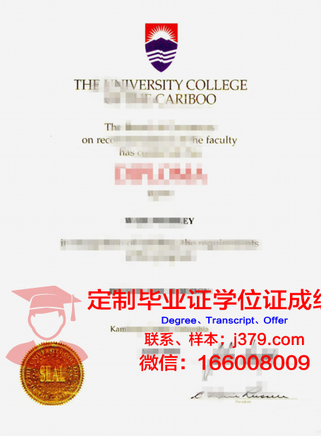 特里布万大学校园卡(特里布文大学世界排名)