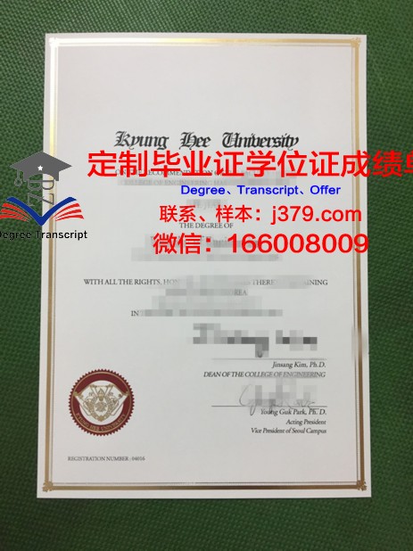 第比利斯国立艺术学院diploma证书(第比利斯英文)