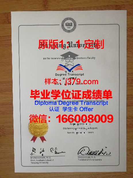 第比利斯国立艺术学院diploma证书(第比利斯英文)