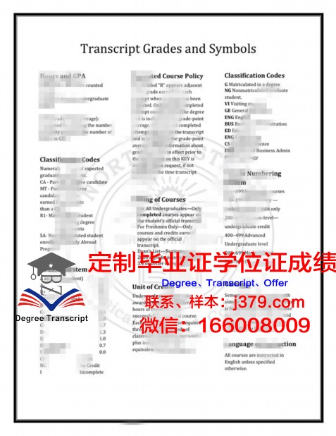 索尔特应用艺术与技术学院毕业证高清图(索尔特装)