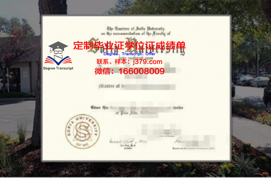 索菲亚大学毕业证样板(索菲亚就业怎么样)