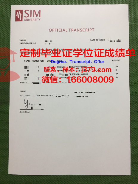 马斯特里赫特管理学院毕业证模板(马斯特里赫特管理学院在职研)