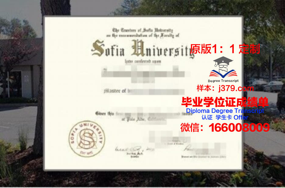 索非亚技术大学普罗夫迪夫分校毕业证书(索菲亚大学fmba)