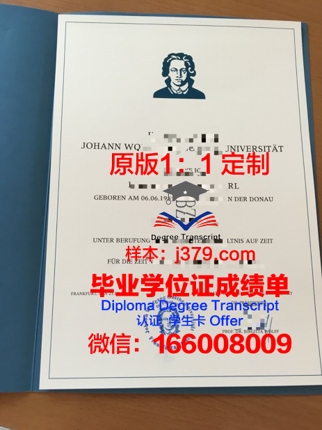 法兰克福造型艺术学院diploma证书(法兰克福工艺美术馆)