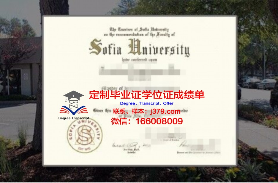 索菲亚大学毕业证样板(索菲亚就业怎么样)