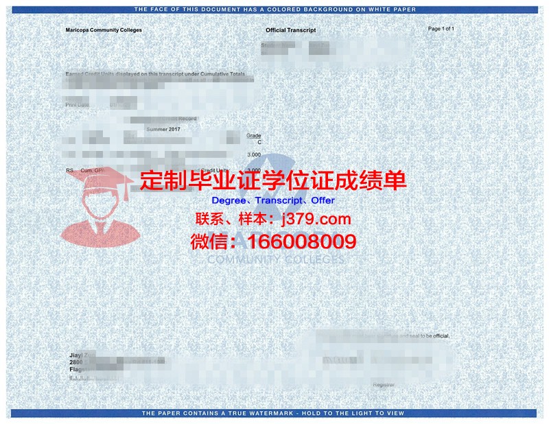 探索NCUT成绩单：一份见证成长与努力的记录