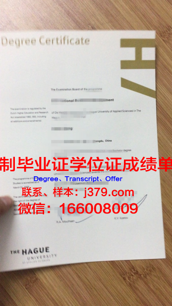 萨塔昆塔应用科学大学毕业证模板(萨塔昆塔应用科学大学排名)