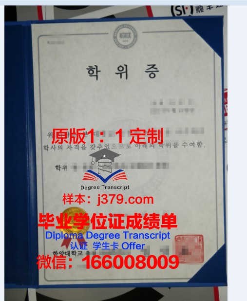 玻利瓦尔罗马教皇大学学位证成绩单：一份跨越国度的学术证明