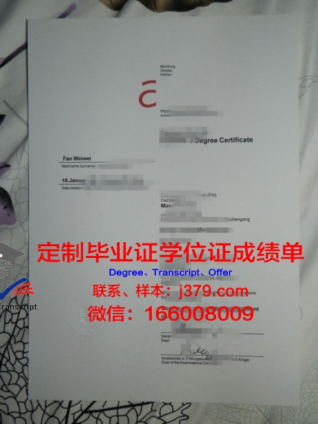奥登堡艾尔斯弗雷特威廉港应用技术大学毕业证书图片高清
