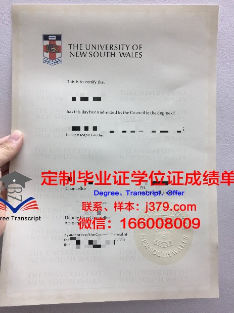 瓦耶大学的毕业证都能做(瓦耶大学的毕业证都能做什么工作)