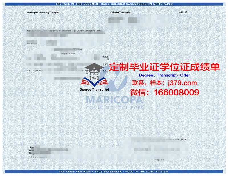 瓦萨尔学院毕业证原版(瓦萨学院录取案例)