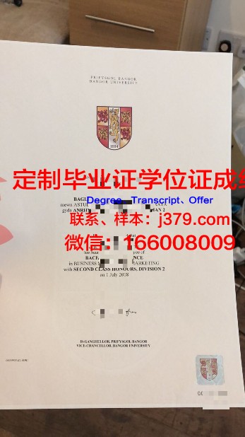 班戈大学毕业证图片(班戈大学毕业后回国找工作)