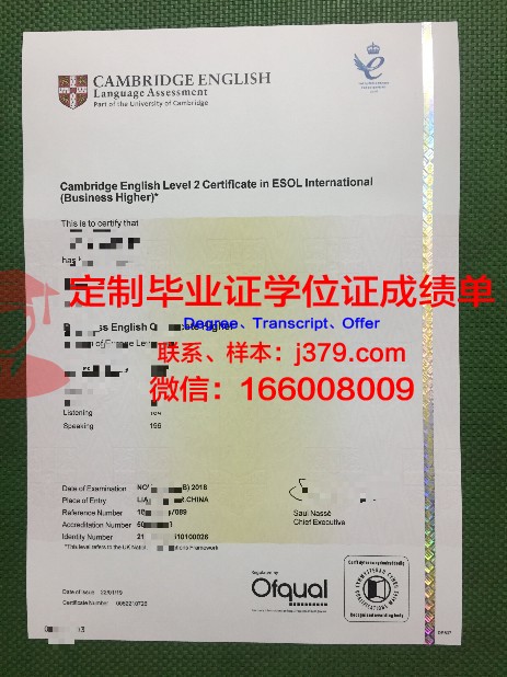 阿提拉·约瑟夫：毕业证书背后的故事与启示
