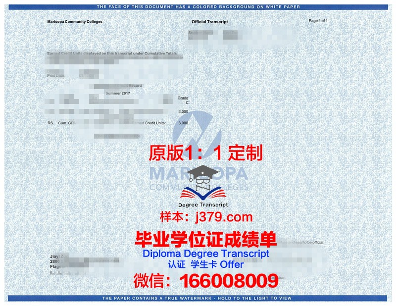 理工院学位成绩单定制图片：彰显学术成就，见证成长历程