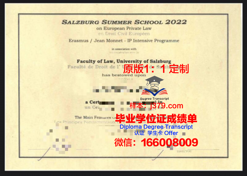 萨尔音乐和戏剧学院毕业证翻译(萨尔茨堡音乐学院排名)
