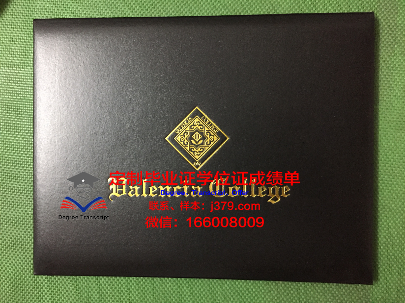 瓦伦西亚大学毕业证成绩单图片(瓦伦西亚大学申请难度)
