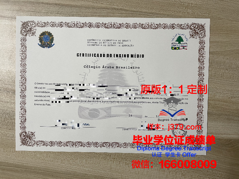 瓦加斯基金会巴西公共与企业管理学院毕业证书原件(巴西瓦加斯主义)