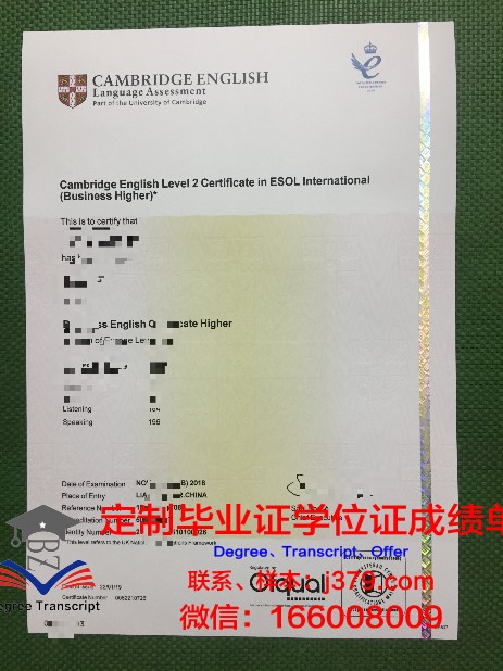 萨尔大学毕业证书(萨尔大学毕业证书样本)