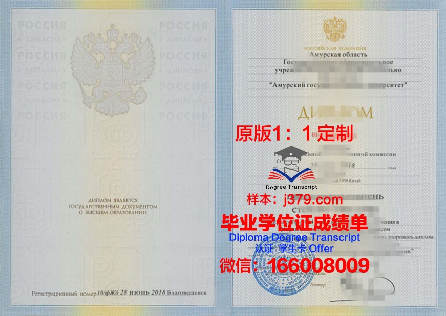 阿穆尔河畔共青城国立技术大学毕业证等级(阿穆尔共青城国立技术大学排名)