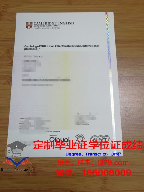 萨尔大学毕业证书(萨尔大学毕业证书样本)
