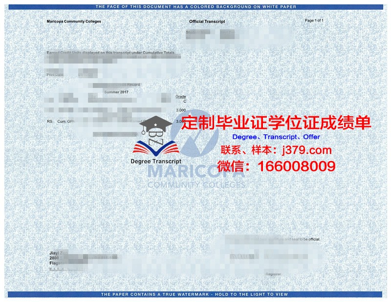 萨拉托夫国家研究型国立大学成绩单：卓越教育成就的展现