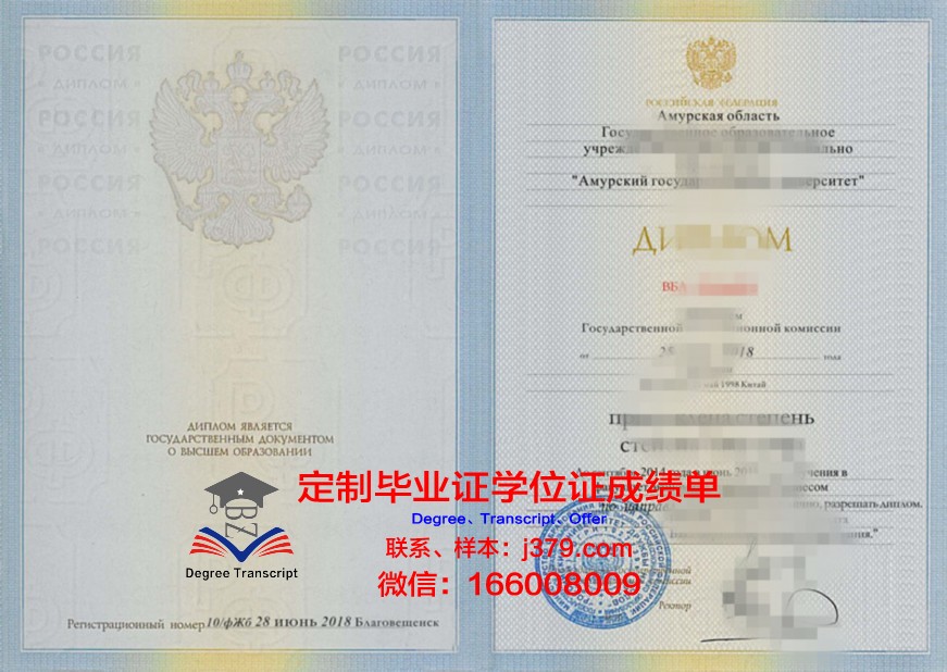 阿穆尔国立大学硕士学位证：开启国际教育新篇章