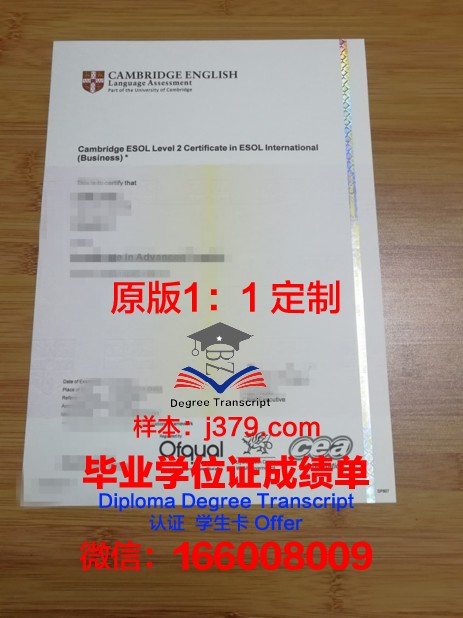 瓦耶大学：一张毕业证书的价值与意义