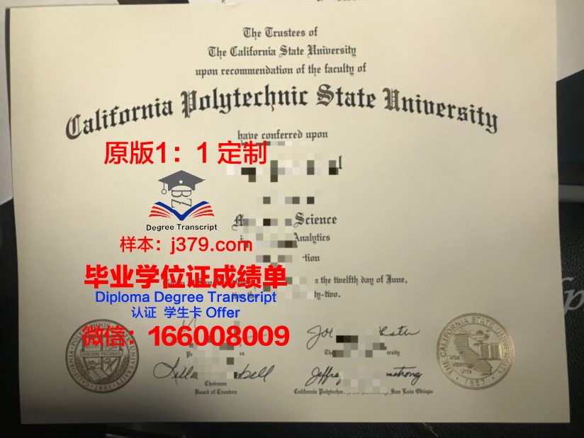 奥尔良大学综合理工学院毕业证是真的吗(法国奥尔良综合理工大学排名)