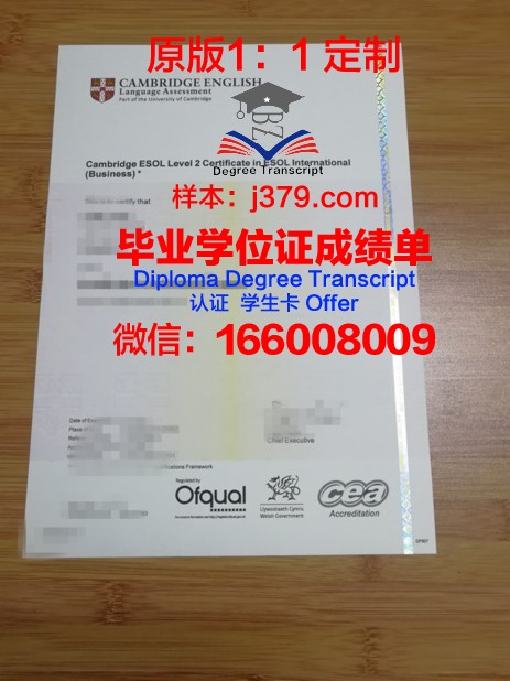 阿提拉·约瑟夫：毕业证书背后的故事与启示