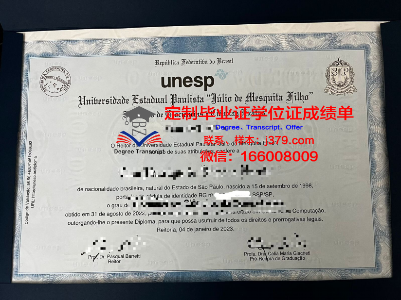 瓦加斯基金会圣保罗经济学院博士毕业证：一份学术荣耀的见证