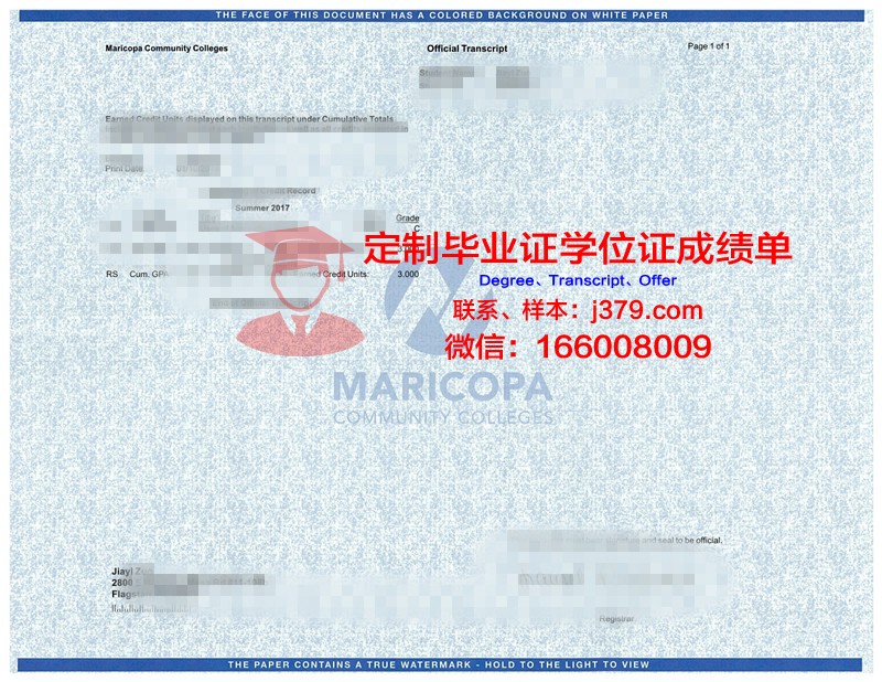 瓦萨大学证书成绩单(瓦萨大学证书成绩单怎么打印)