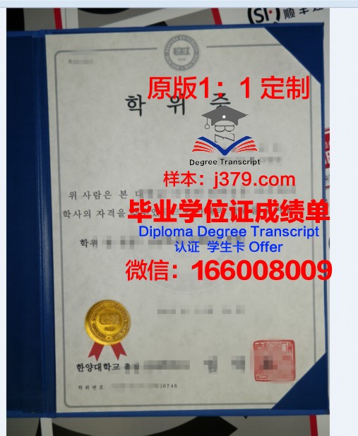 瓦萨应用科学大学硕士学位证：一份国际认可的学术荣誉