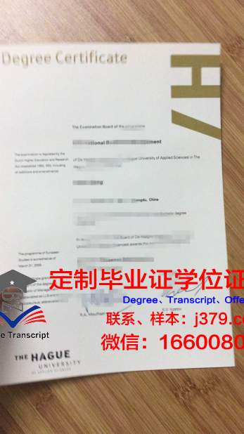 瓦萨应用科学大学毕业证案例(瓦萨学院强势专业)