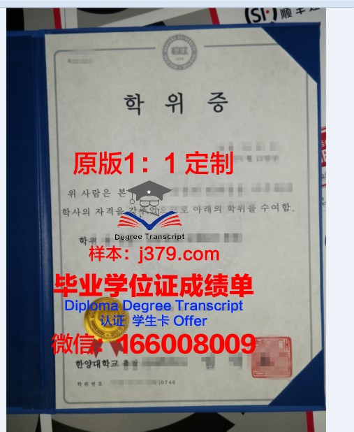 理工学位证：开启科技未来的钥匙