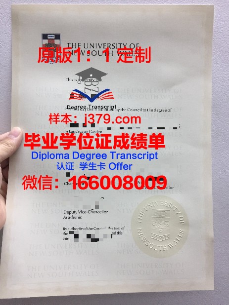 阿维拉大学博士毕业证：一份跨越国度的学术荣耀
