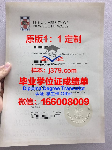 萨尔布吕肯大学毕业证电子版