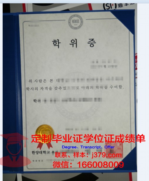 奥巴费米亚沃洛沃大学学位证：一份承载荣誉与梦想的证书