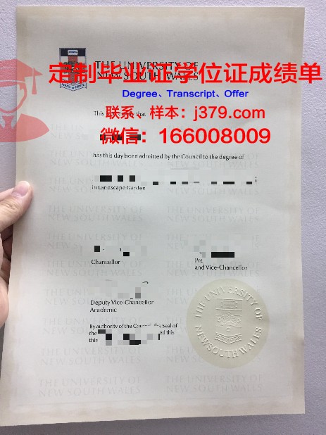 萨尔毕业证：一张纸的重量与价值
