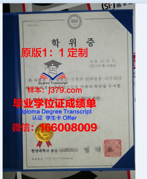 奥卢大学学位证成绩单：国际认可的学术凭证