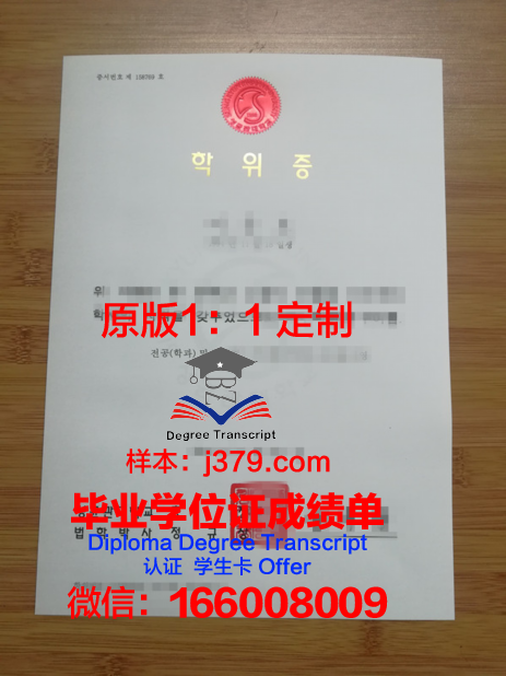 瓦萨应用科学大学硕士学位证：一份国际认可的学术荣誉