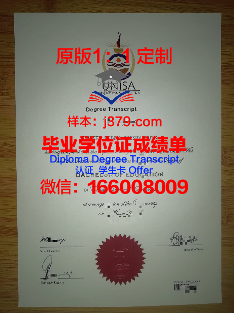 萨尔毕业证：一张纸的重量与价值